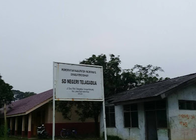 SDN Telagadua
